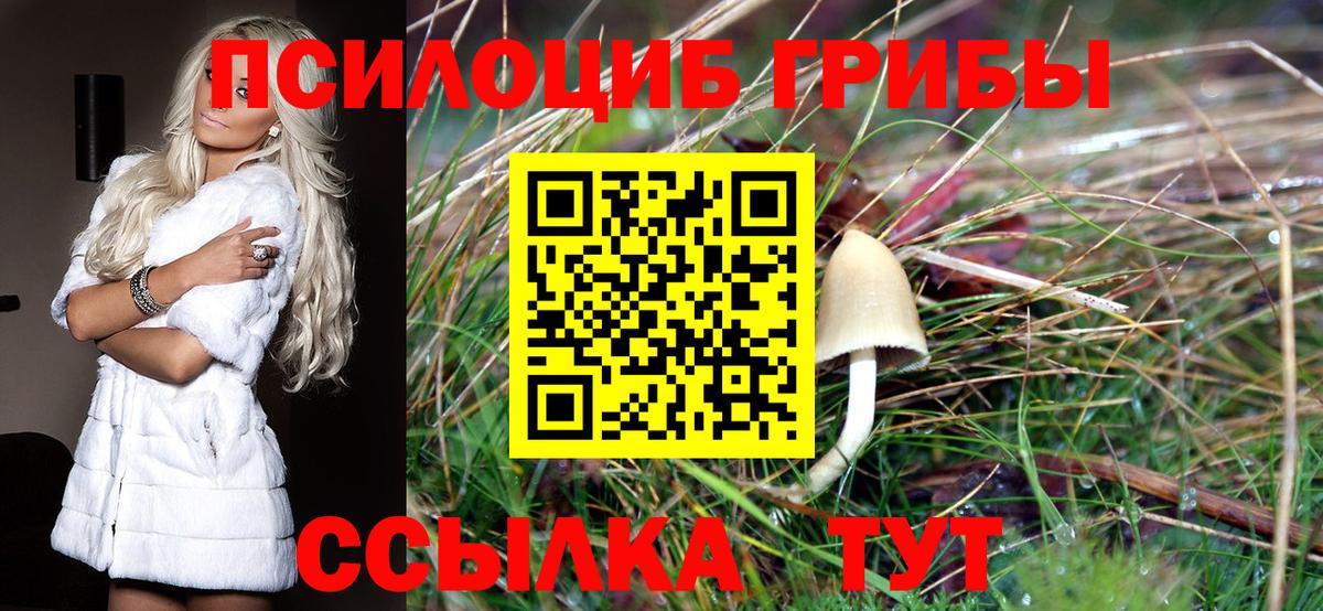 Тулун  Галлюциногенные грибы Magic Shrooms  Вход с VPN 