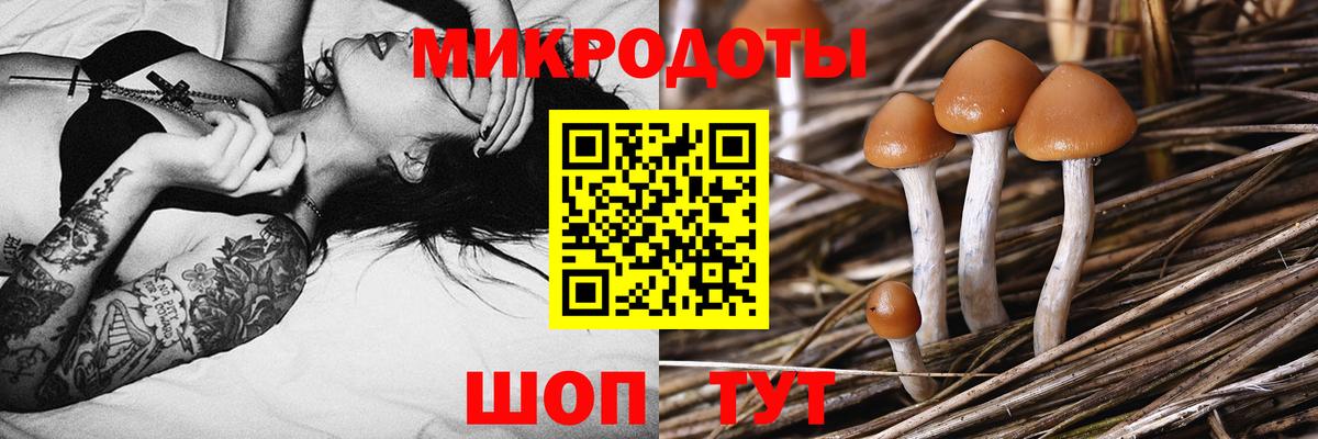 Тулун  ЭКСТАЗИ  Вход с VPN  МЕФ   COCAIN  A-PVP СК   Гашиш  Героин 